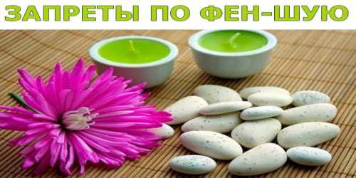 дрессировка собак: 10 основных принципов дрессировка собак: 10 основных принципов