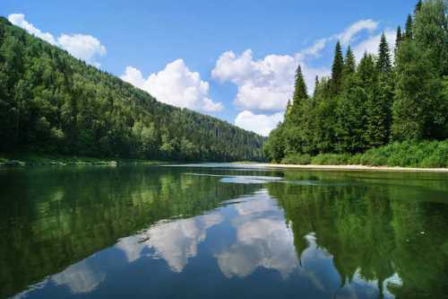 уральские пельмени аллергия хохотала до слез это лучшее, что они отчебучили в этом году