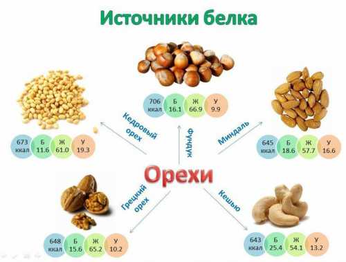 список дел на день выполнишь с советом от трейси