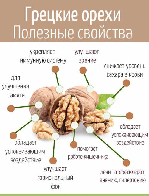 калорийность халвы и полезные свойства подсолнечной, кунжутной и арахисовой